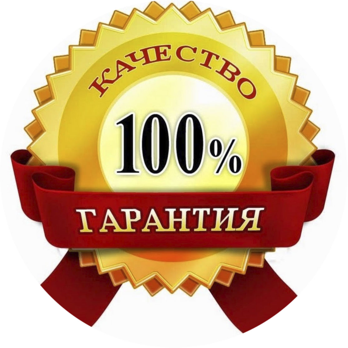 Главная Главная